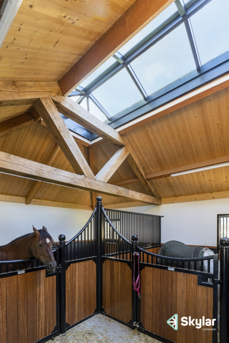 Schilddak Lichtstraat Skylar In Stal